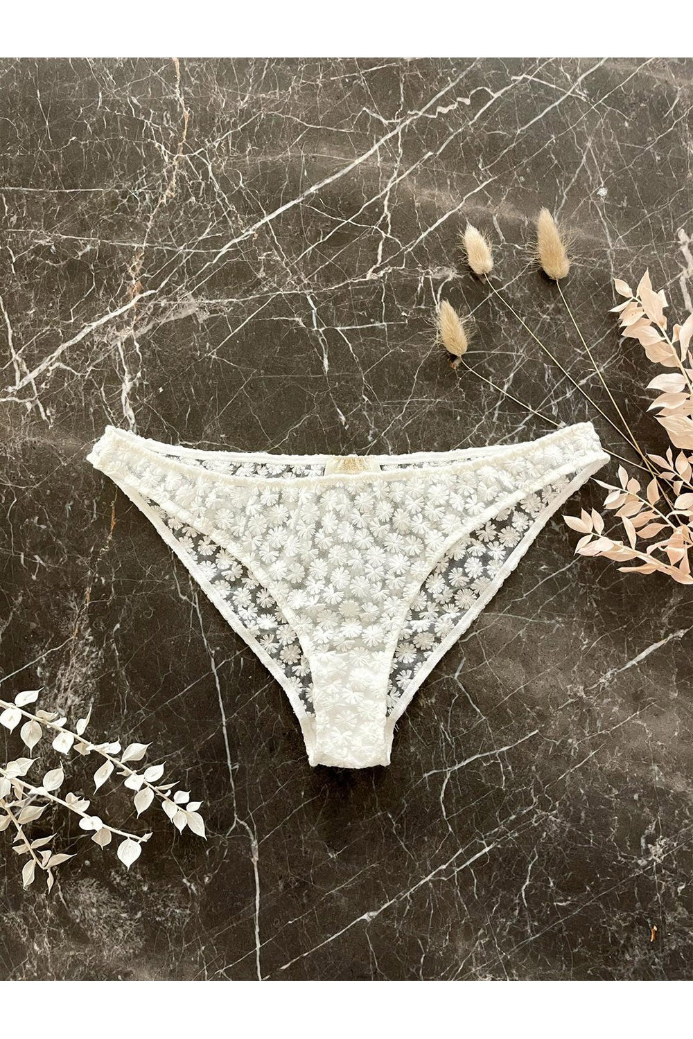 JUDE PANTY